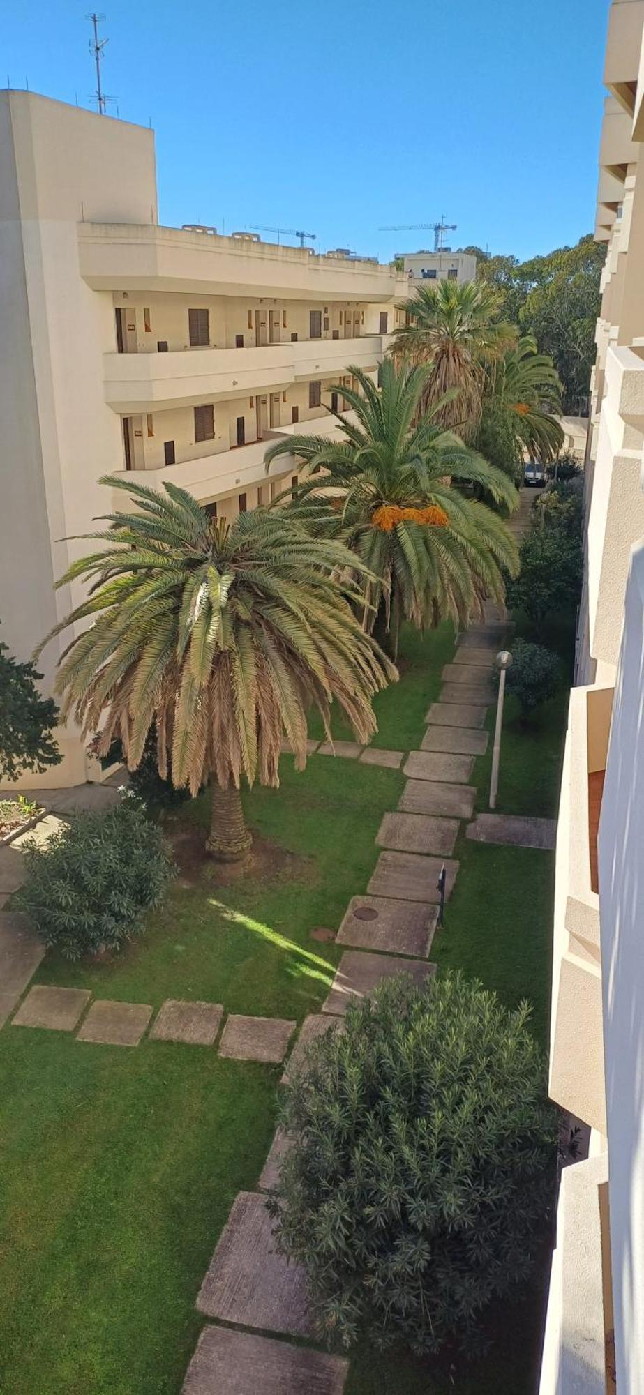 Above The Beach, 10 Min From The City Center - Casa Da Tartaruga ラゴス エクステリア 写真